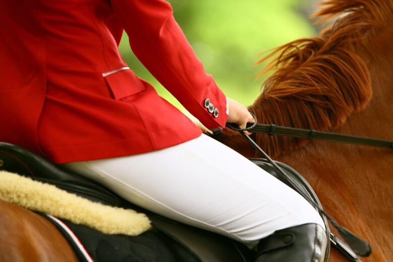 horse, nature, rider, equestrian, equine, equestrienne, saddle, horse back riding, horse riding, mane, hands, show jumping, competition