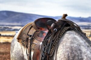 saddle, horse, cowboy, western, nature, countryside, equine, mammal, animal, farm, seat