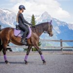 horse, girl, riding lessons, pony, riding pony, equestrian, equine, animal, brown horse, pony ride, ride, stable, nature, horsewoman, rider, horseback riding, horse riding, riding school, riding space