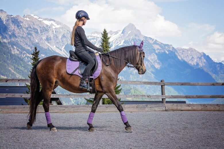 horse, girl, riding lessons, pony, riding pony, equestrian, equine, animal, brown horse, pony ride, ride, stable, nature, horsewoman, rider, horseback riding, horse riding, riding school, riding space