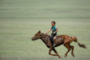 boy, horse riding, galloping, nature, horse, grassland, sports, riding rider, animal, mammalian, naadam, mongolia