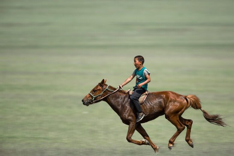 boy, horse riding, galloping, nature, horse, grassland, sports, riding rider, animal, mammalian, naadam, mongolia